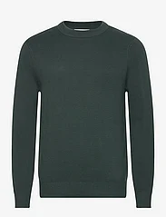 Selected Homme - SLHTODD LS KNIT CREW NECK W - megztiniai su apvalios formos apykakle - green gables - 0