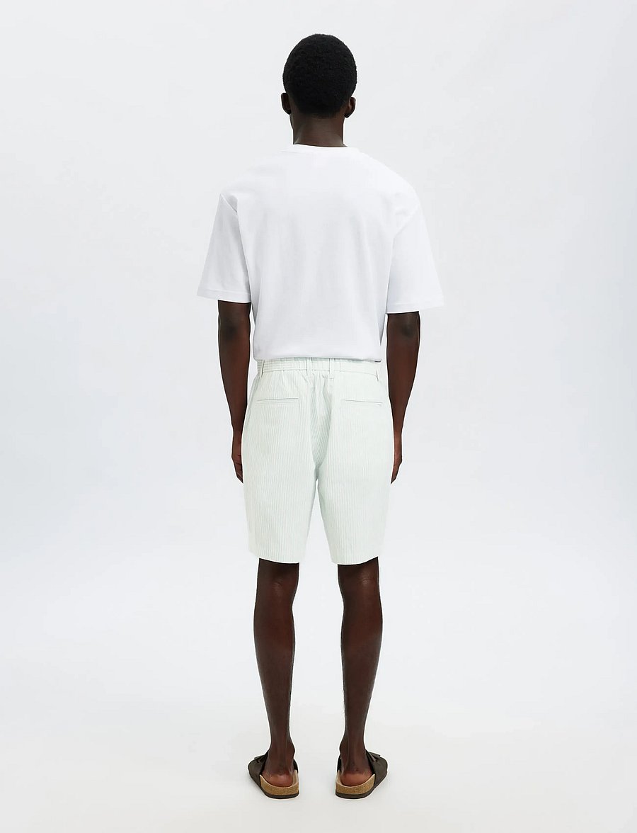 Selected - SLHREGULAR-KARL SEERSUCKER SHORTS NOOS - casual shorts - winter sky - 2