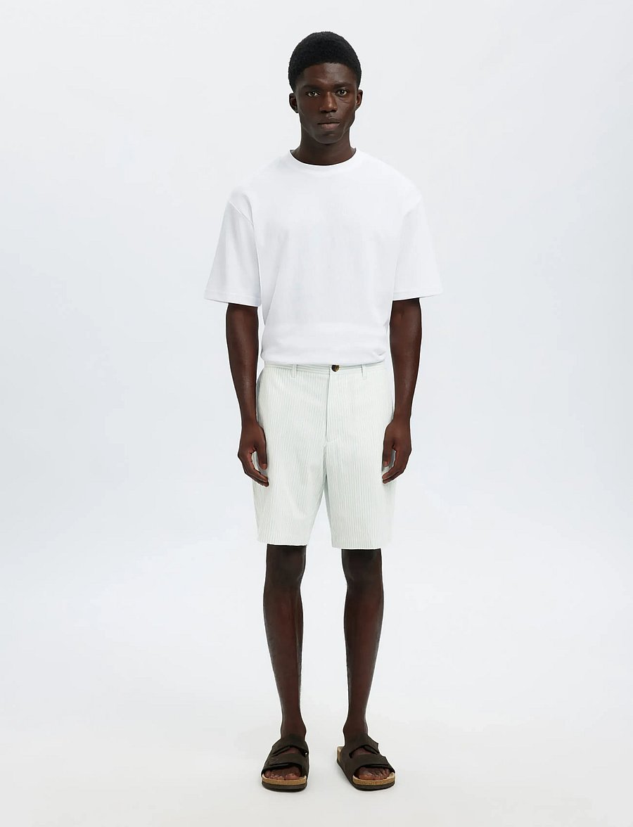 Selected - SLHREGULAR-KARL SEERSUCKER SHORTS NOOS - casual shorts - winter sky - 3