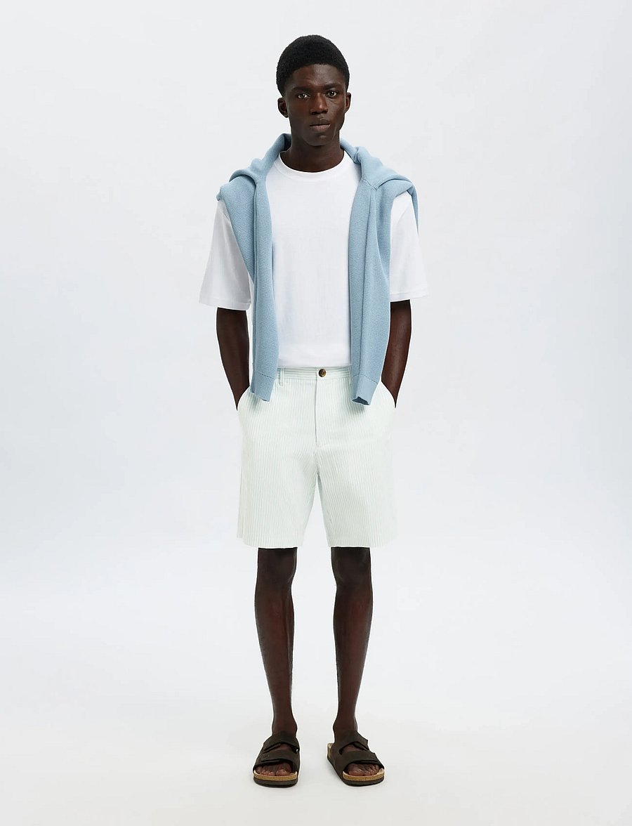 Selected - SLHREGULAR-KARL SEERSUCKER SHORTS NOOS - casual shorts - winter sky - 5