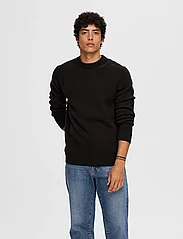 Selected Homme - SLHDANE LS KNIT STRUCTURE CREW NECK NOOS - rundhals - black - 3