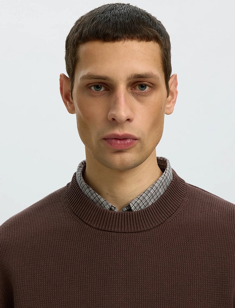 Selected - SLMDANE LS KNIT STRUCTURE CREW NECK NOOS - rund hals - bracken - 4
