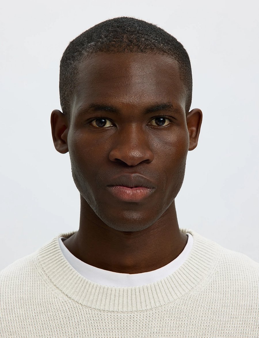 Selected - SLMDANE LS KNIT STRUCTURE CREW NECK NOOS - rundhalsad - light grey melange - 4