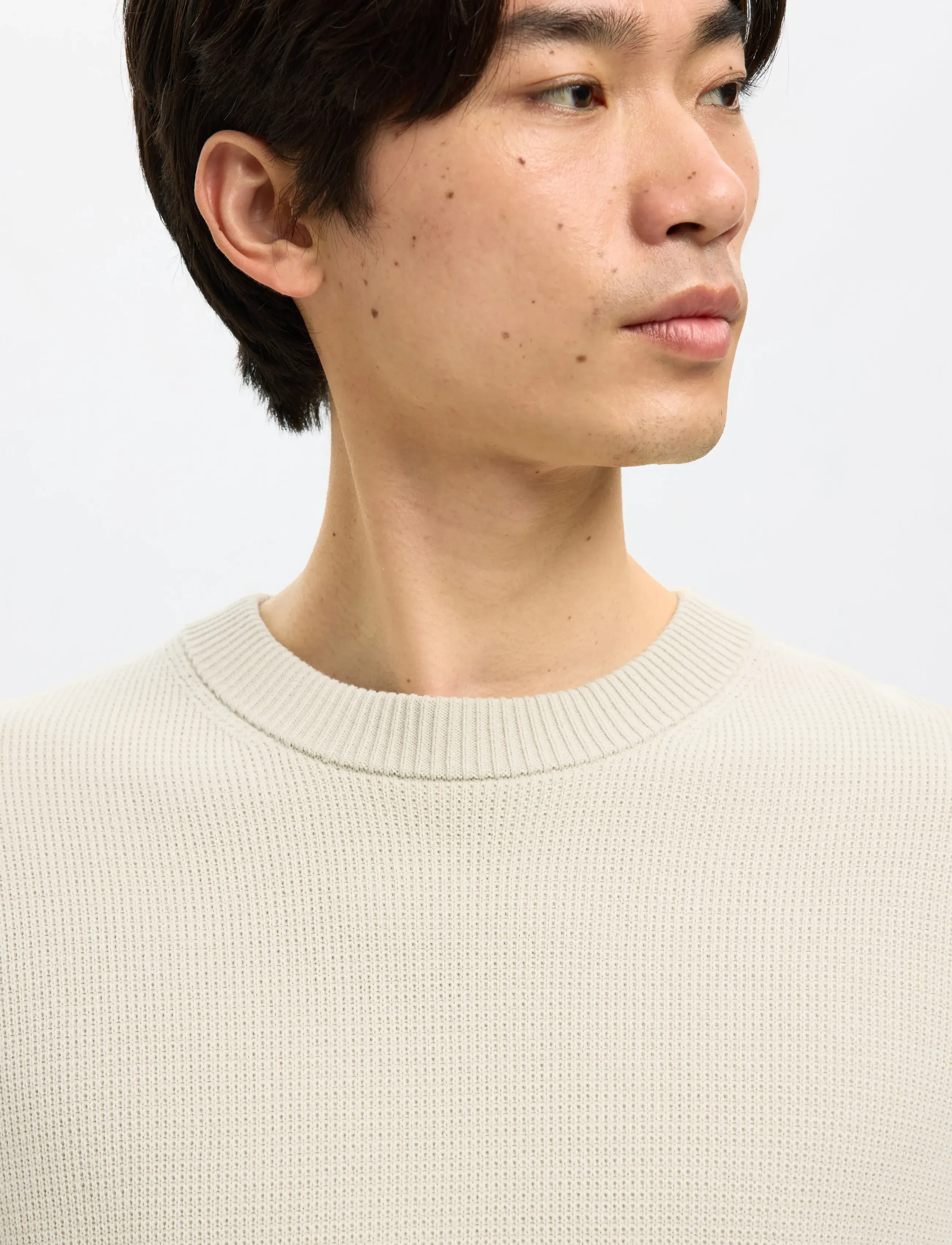 Selected - SLMDANE LS KNIT STRUCTURE CREW NECK NOOS - Ümmarguse kaelusega kudumid - oatmeal - 5