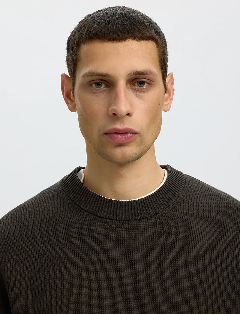 Selected - SLMDANE LS KNIT STRUCTURE CREW NECK NOOS - rund hals - peat - 4