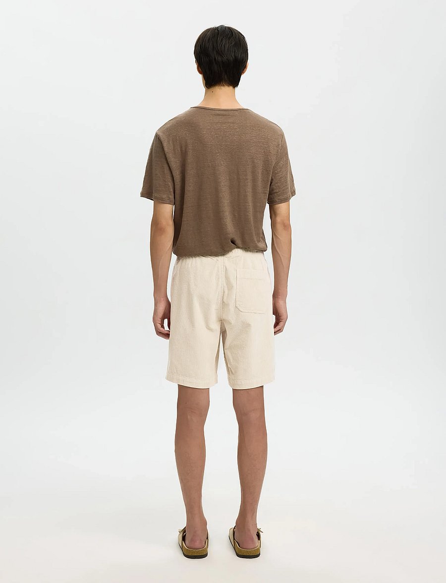 Selected - SLHREGULAR-JACE CORDUROY SHORTS NOOS - freizeitshorts - fog - 2