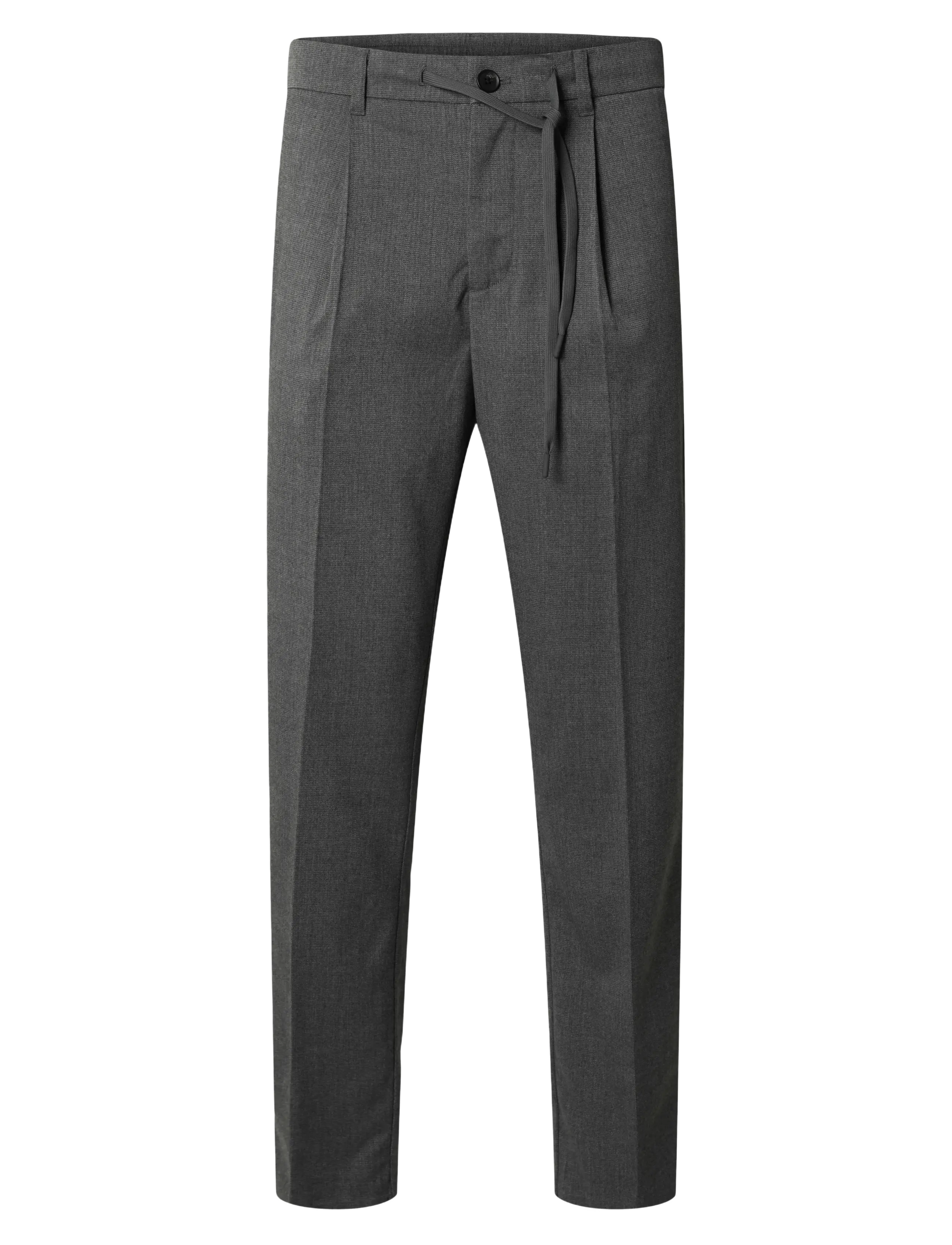 SELECTED Slh190-Reg Tapered Leroy Pleat Hose Noos Grau - S - Herren