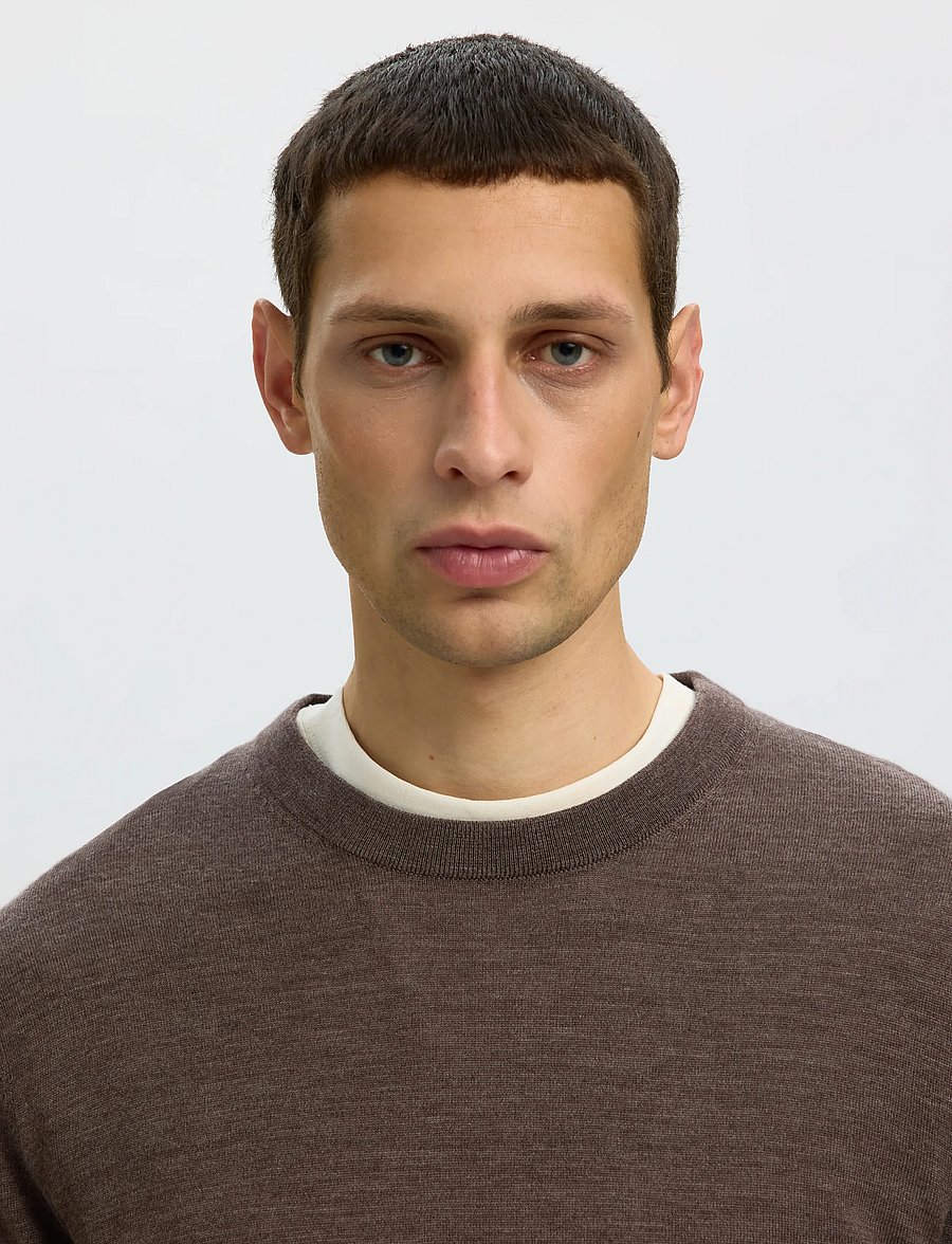 Selected - SLMTRAY LS KNIT MERINO CREW NECK NOOS - rundhals - delicioso - 4
