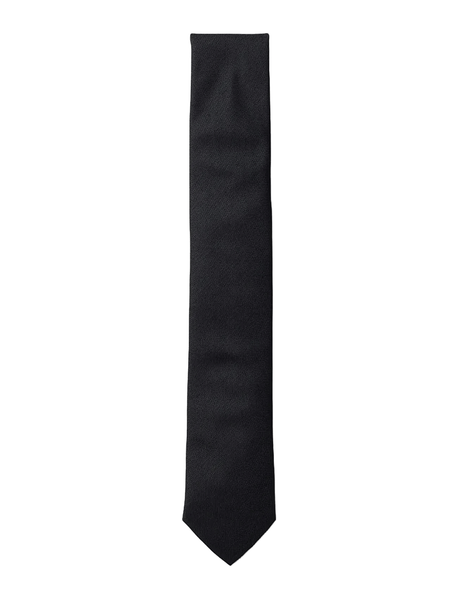 Selected - SLMPETER STRUCTURE TIE NOOS - krawatten - black - 3