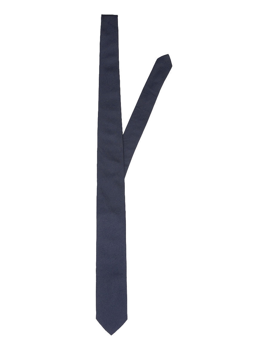 Selected - SLHPETER STRUCTURE TIE NOOS - krawatten - sky captain - 1