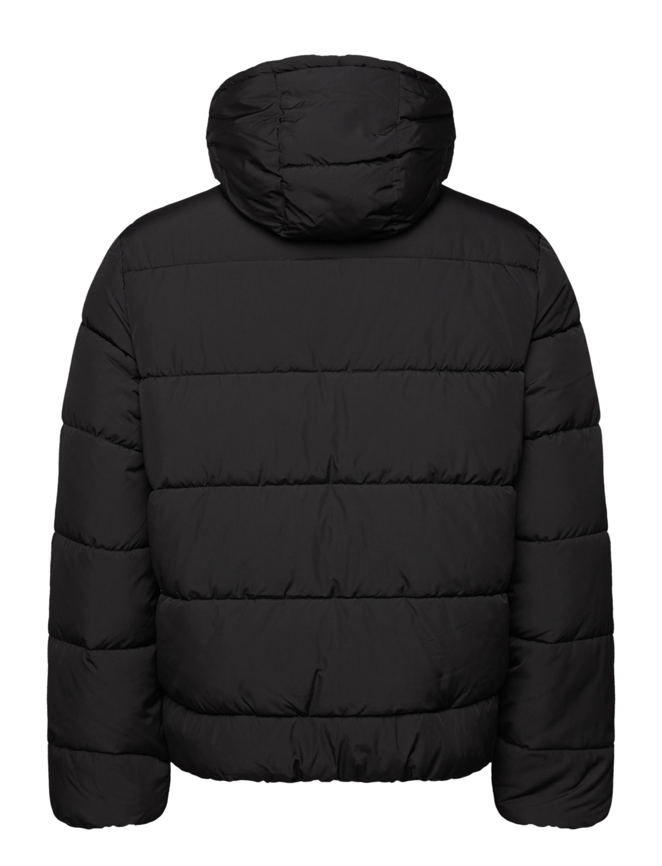 Selected - SLHLANCE HEAVY PUFFER JACKET - winter jackets - black - 1