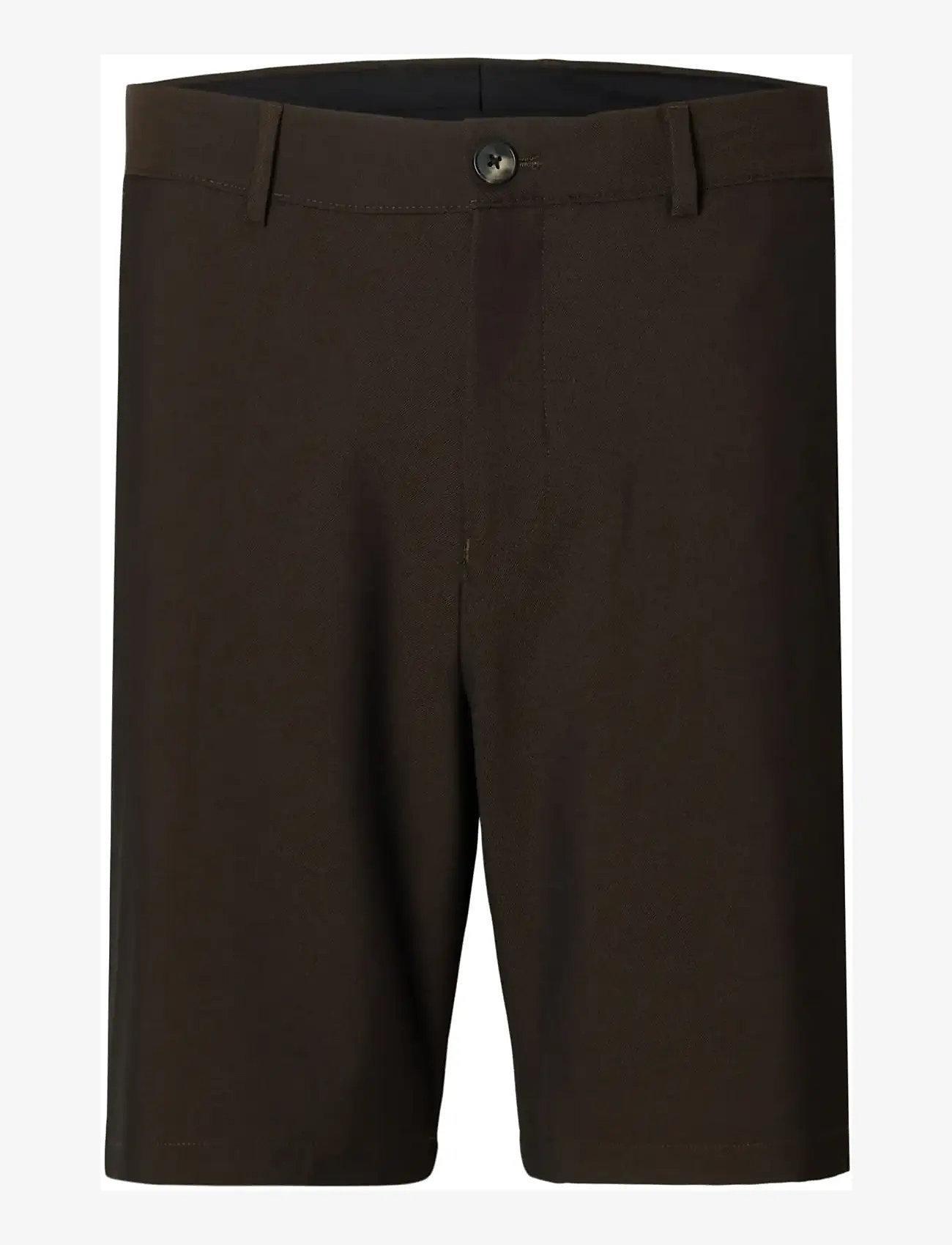 Selected - SLHREGULAR-ROBERT FLEX SHORTS NOOS - casual shorts - delicioso - 1