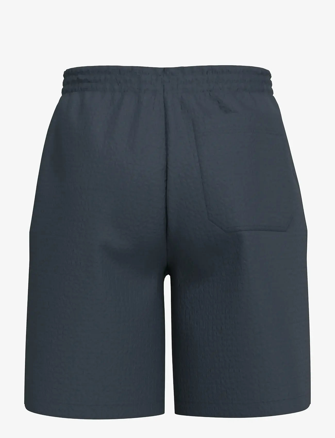 Selected - SLHLOOSE-ACE SEERSUCKER STRING SHORTS - casual shorts - sky captain - 2