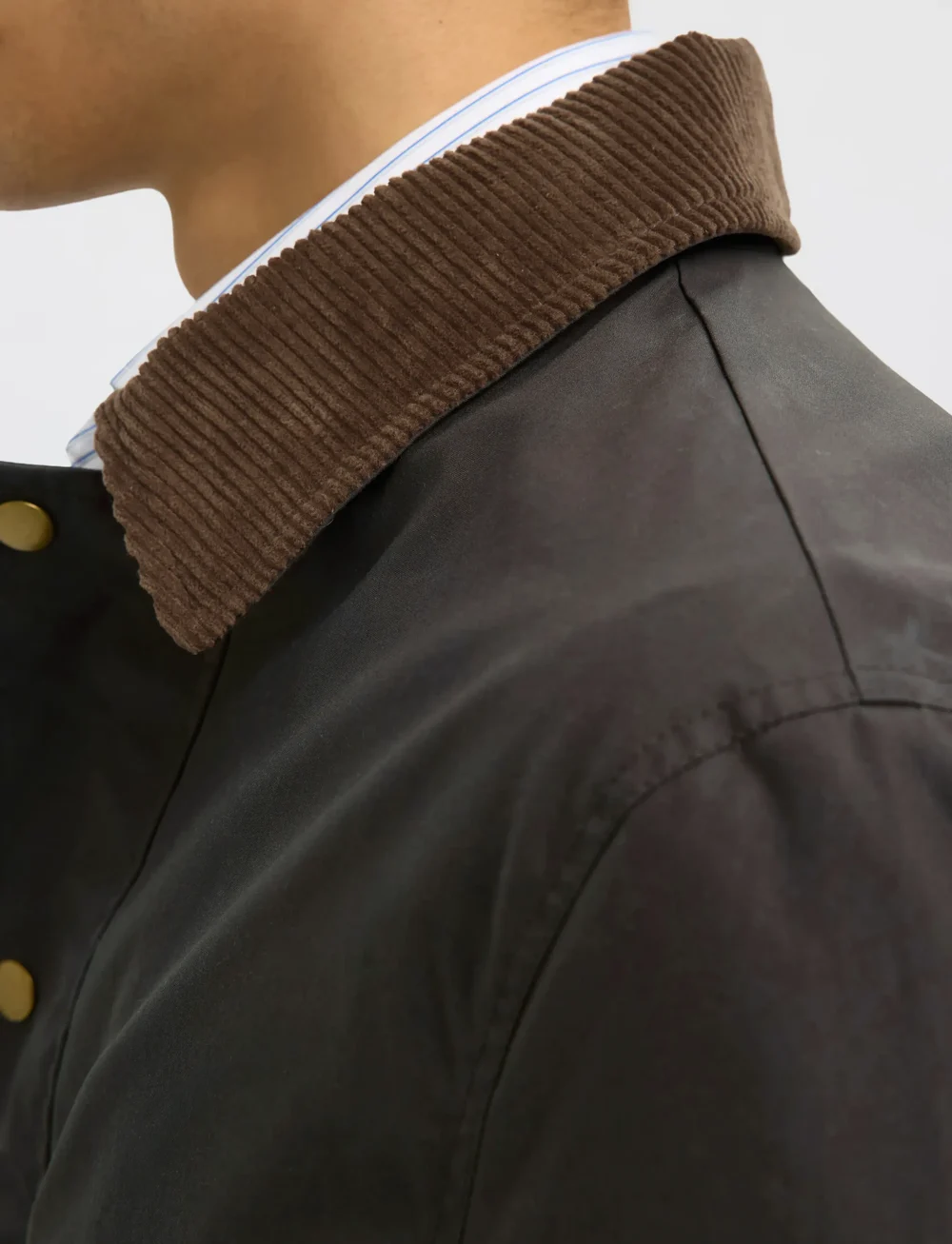 Selected - SLHWALTER WAXED COTTON 2.0 JKT NOOS - kurtki jesienne - delicioso - 4