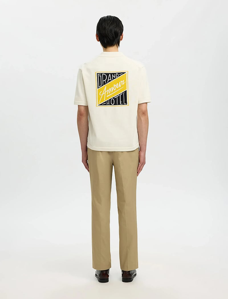 Selected - SLHAMOUR INTARSIA RELAXED POLO CARDIGAN - gestrickte polohemden - egret - 2