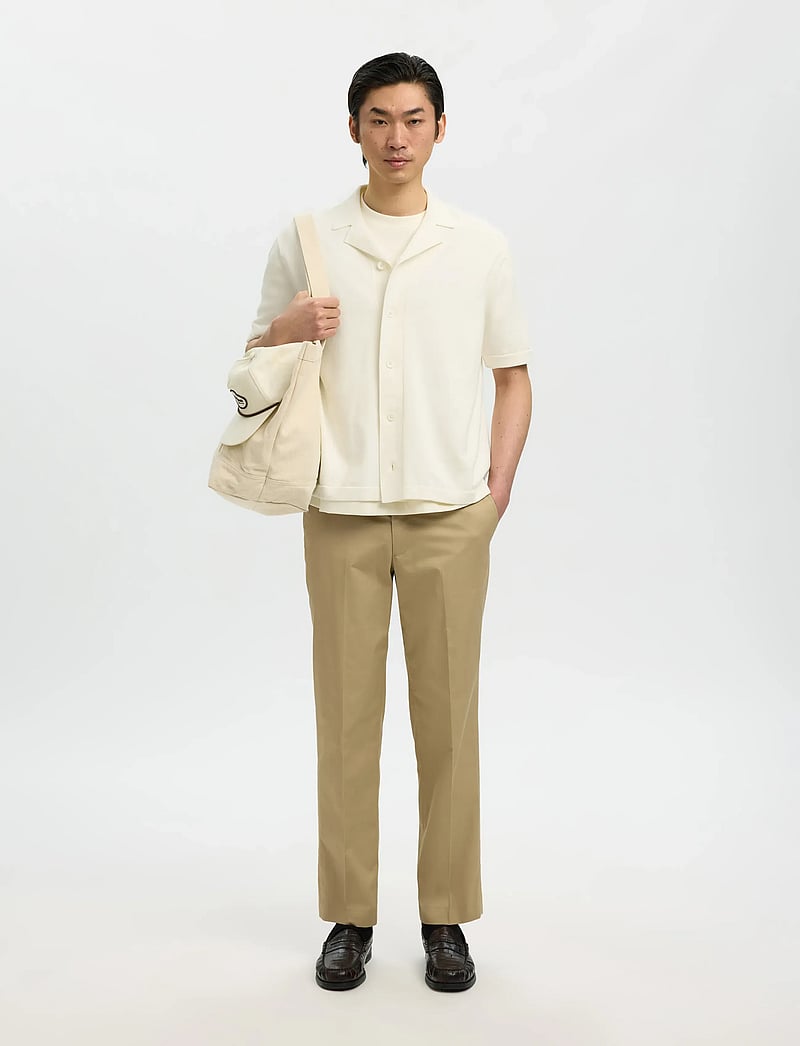 Selected - SLHAMOUR INTARSIA RELAXED POLO CARDIGAN - gestrickte polohemden - egret - 5