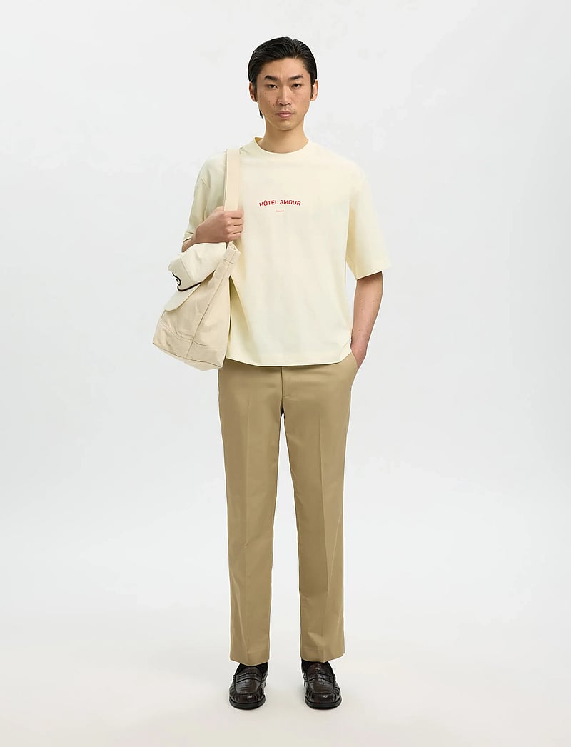 Selected - SLHBOXYLIAM SS O-NECK TEE HOTEL AMOUR - kurzärmelig - egret - 5