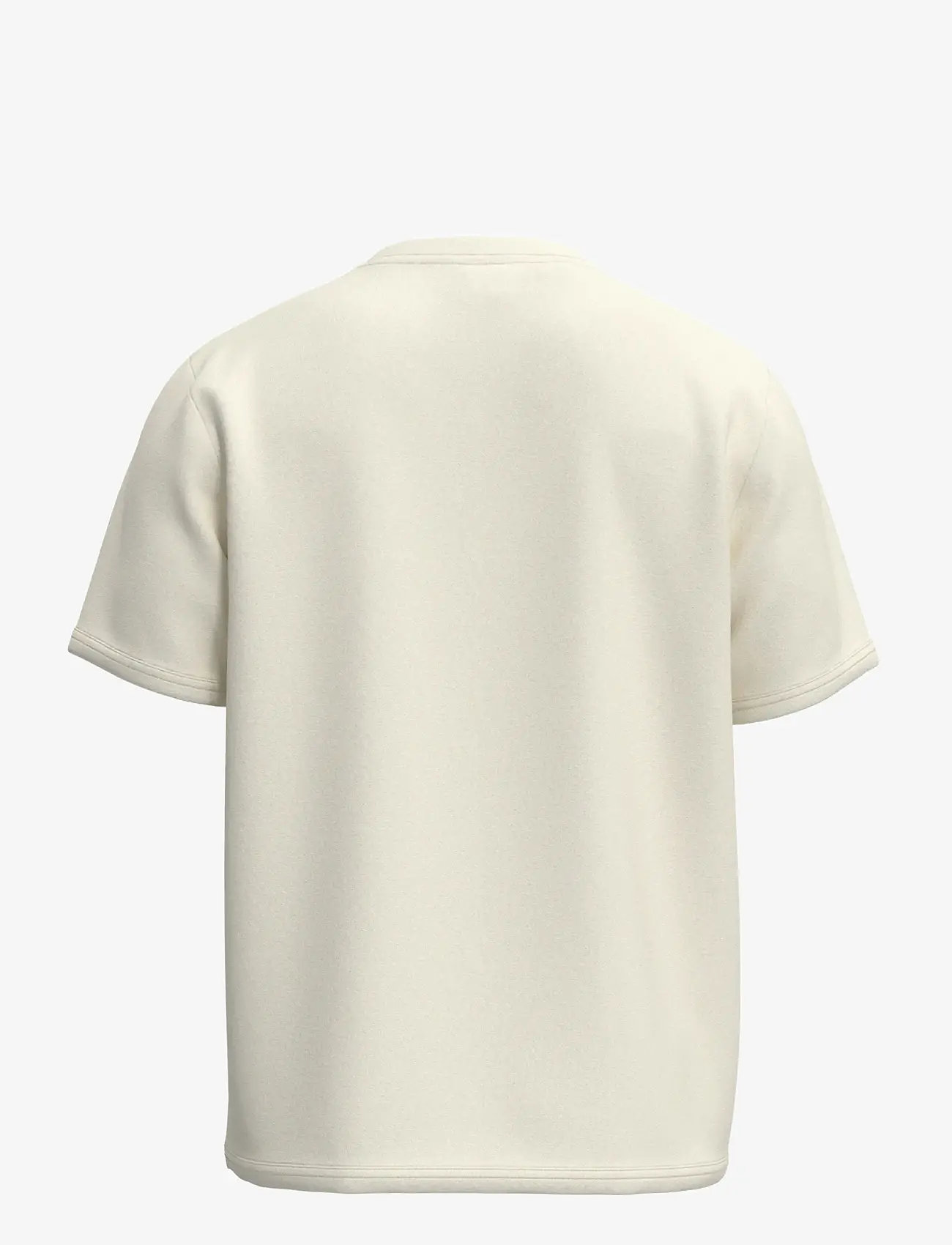 Selected - SLHREG-SALZ EMB  SS O-NECK TEE - kurzärmelig - egret - 1
