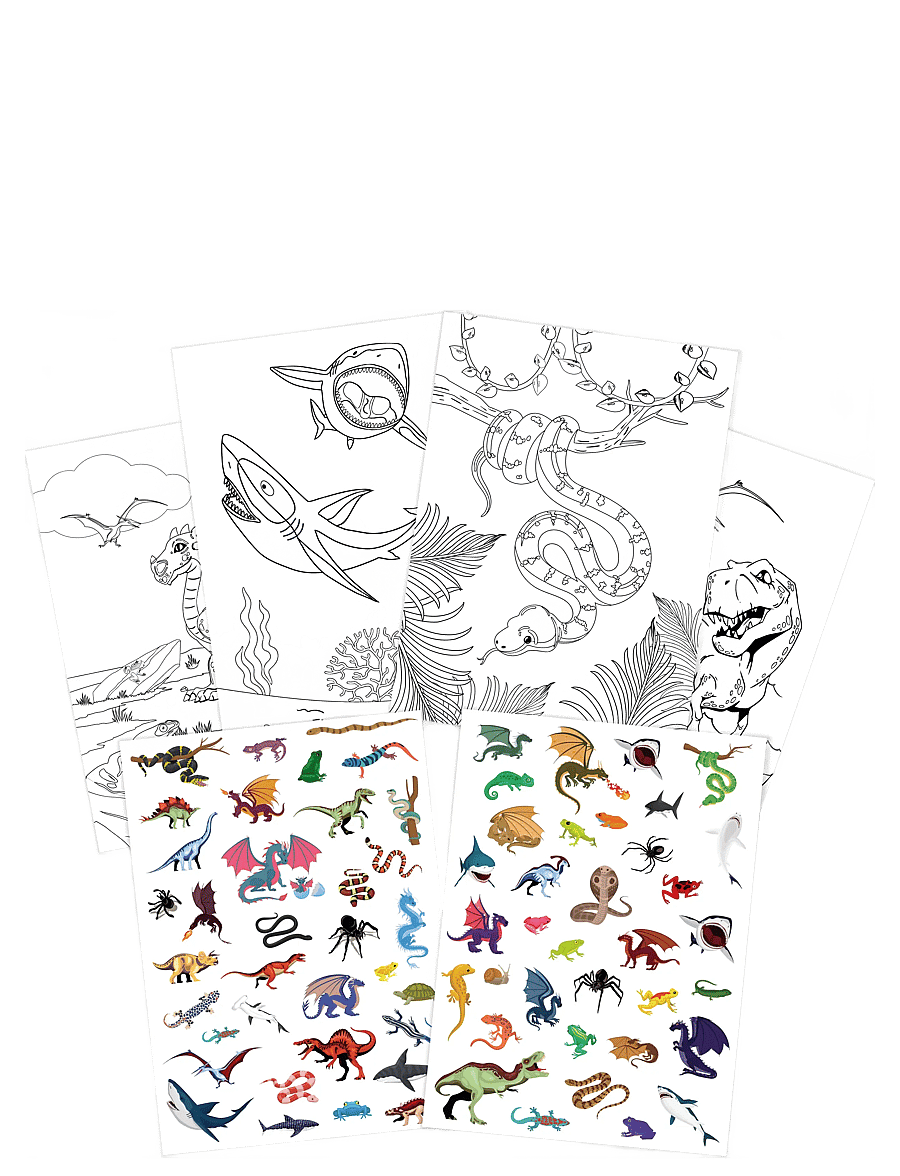 Sense - MÅLARBOK LÄSKIGA DJUR M STICKERS FSC® - livre de coloriage - red - 1