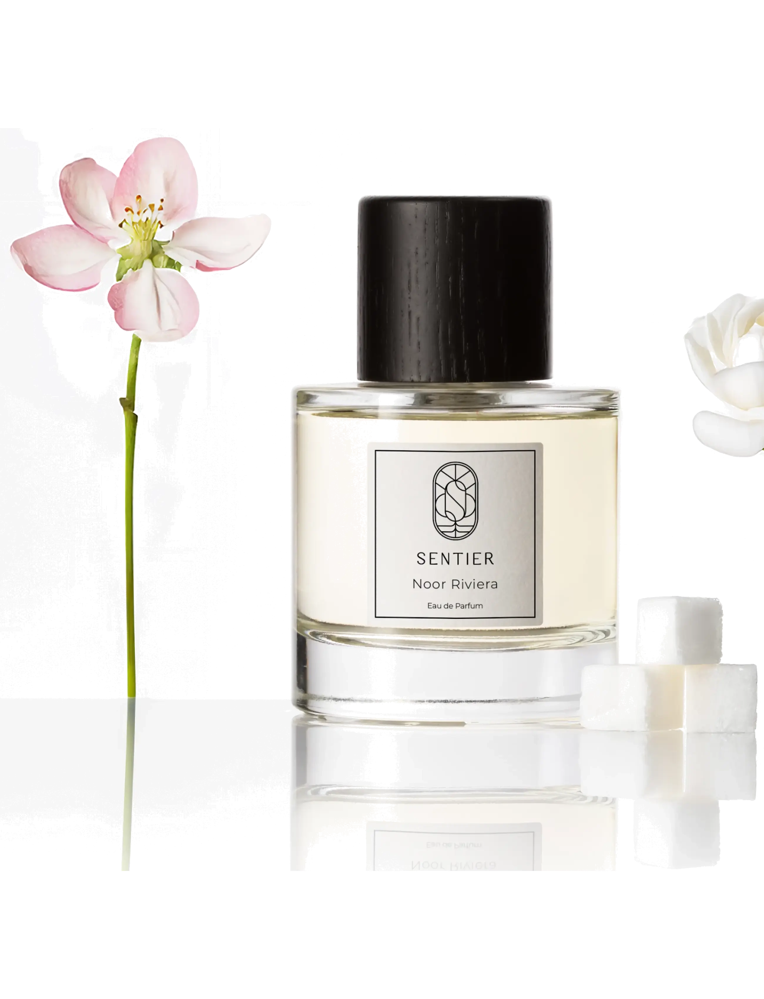 Sentier - 10ml Noor Riviera (Non-Alcohol) + Carton - til ham  - clear - 1
