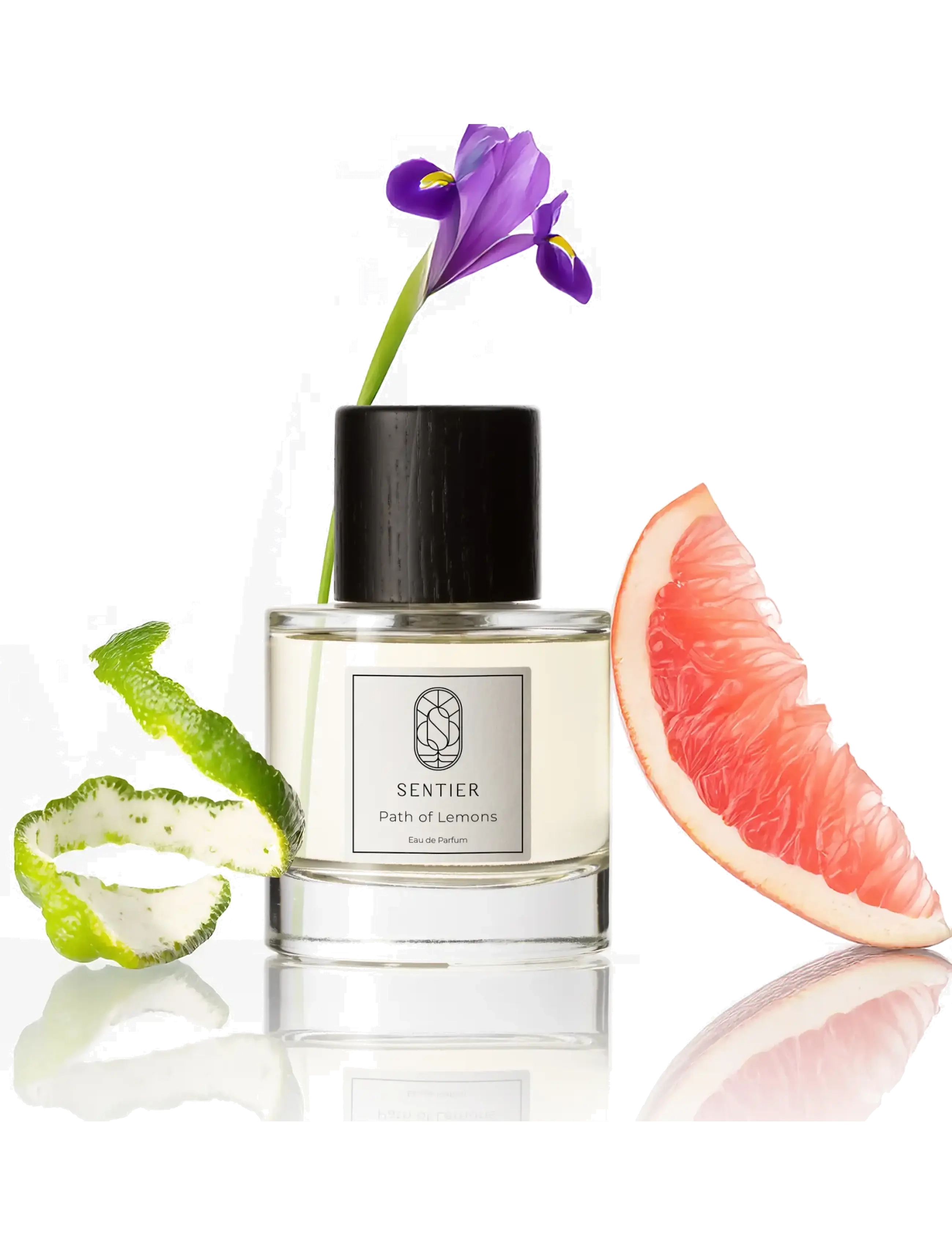 Sentier - Path of Lemons - meestele  - clear - 1