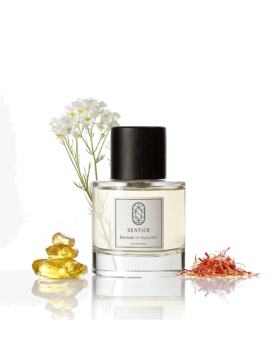 Sentier - Balade in Autumn - handa honum - clear - 1