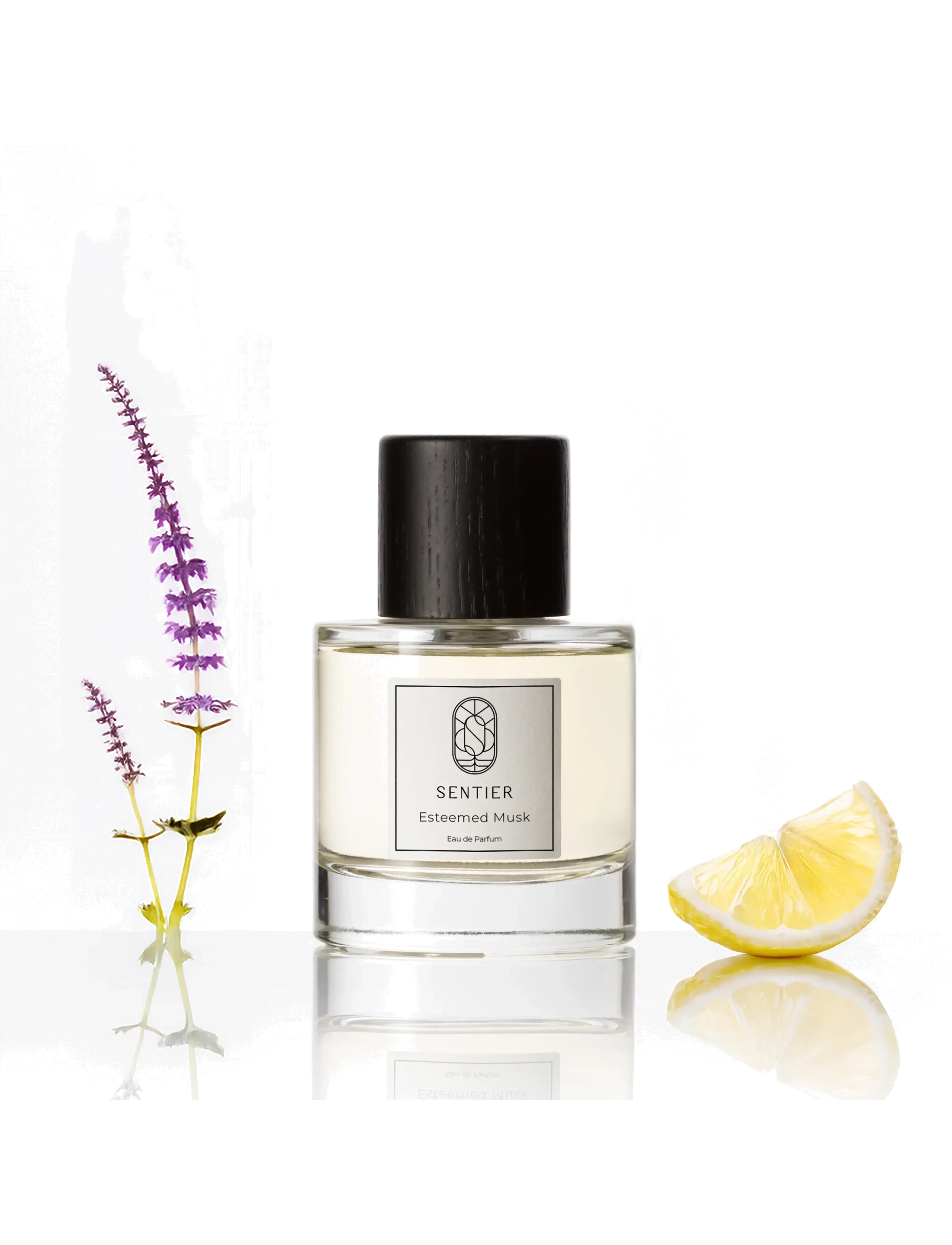 Sentier - Esteemed Musk - till honom  - clear - 2