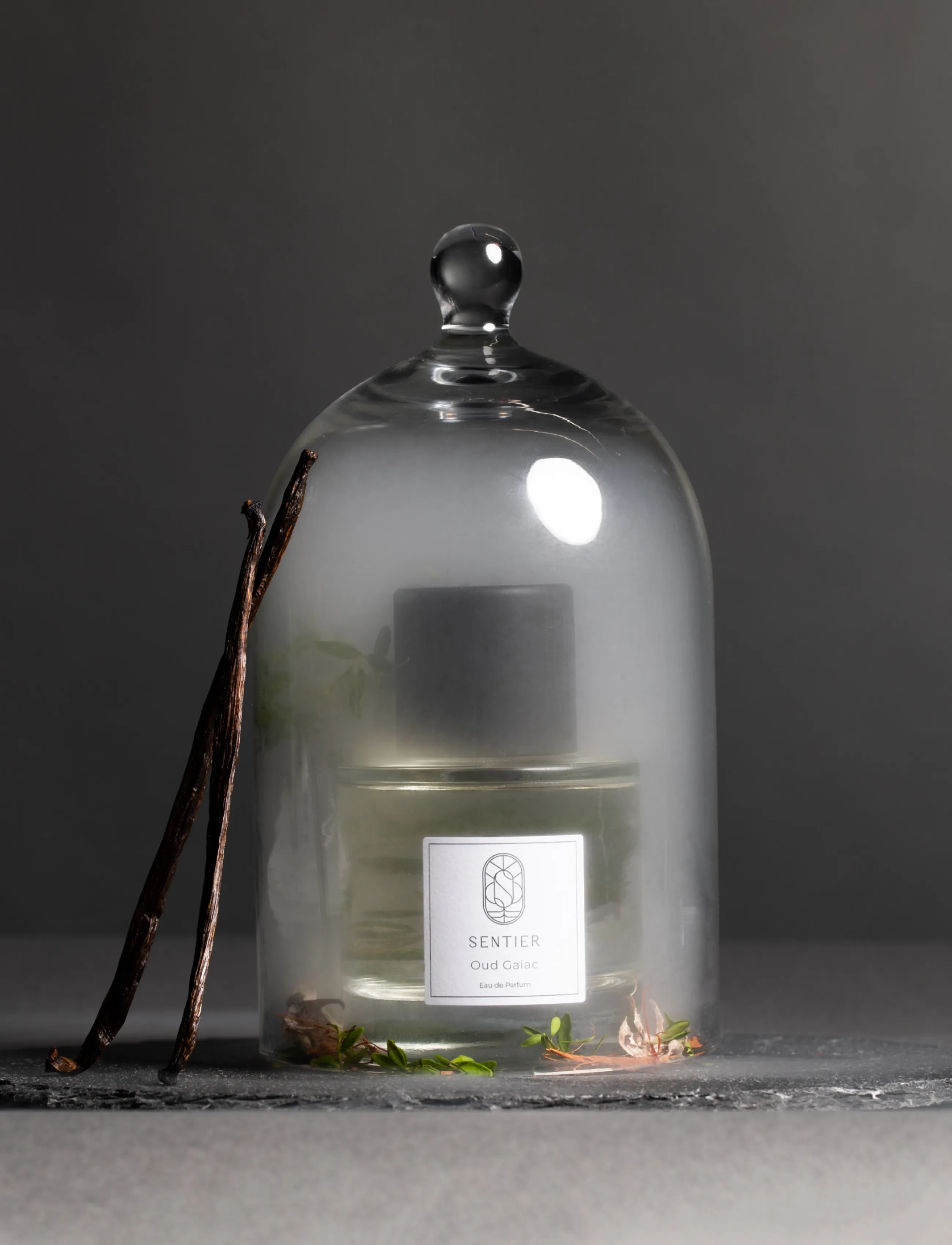 Sentier - Oud Gaiac - fragrance - clear - 4