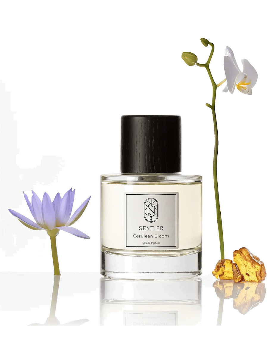 Sentier - Cerulean Bloom - til ham - clear - 1