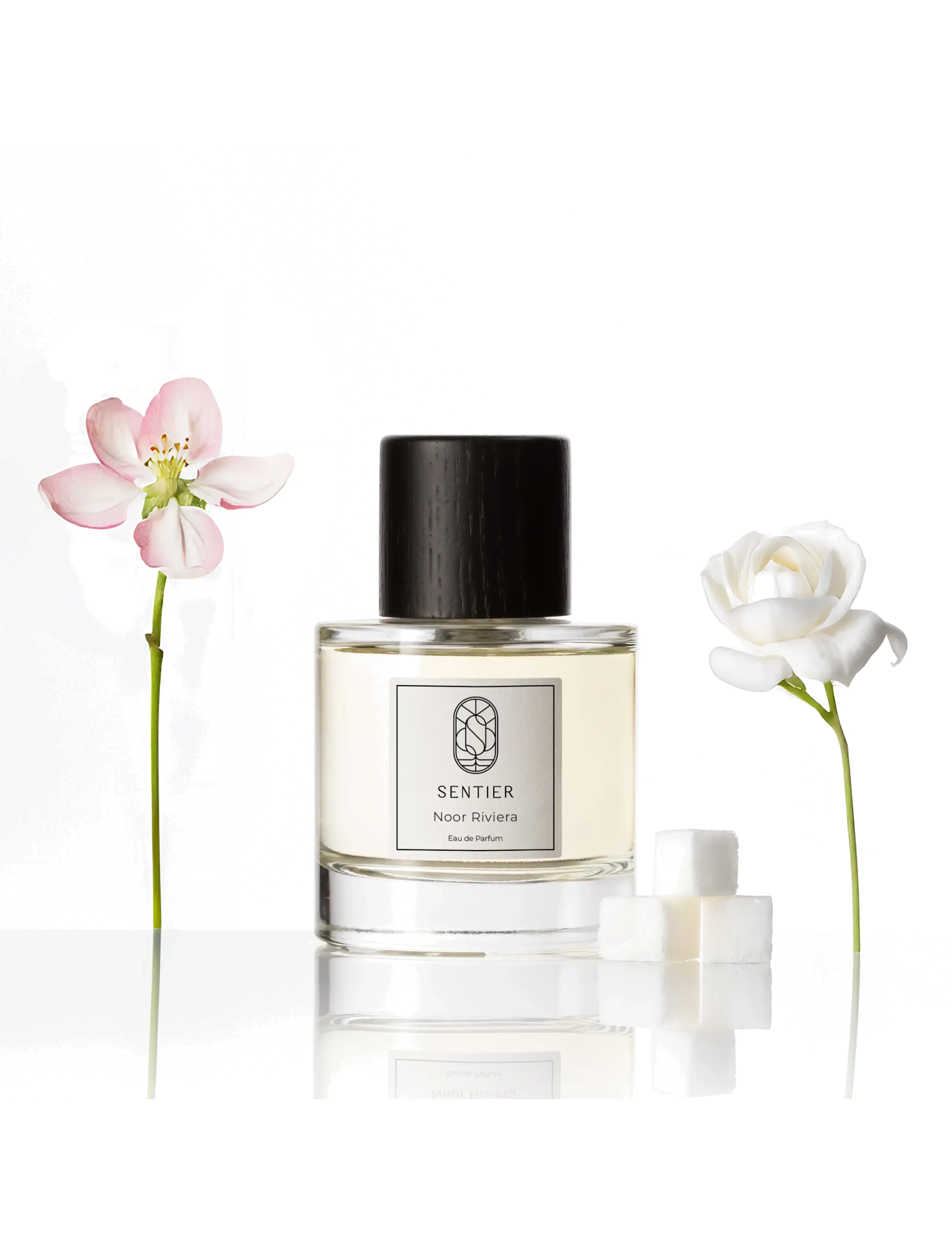Sentier - Noor Riviera (Non-Alcohol) - till honom  - clear - 1