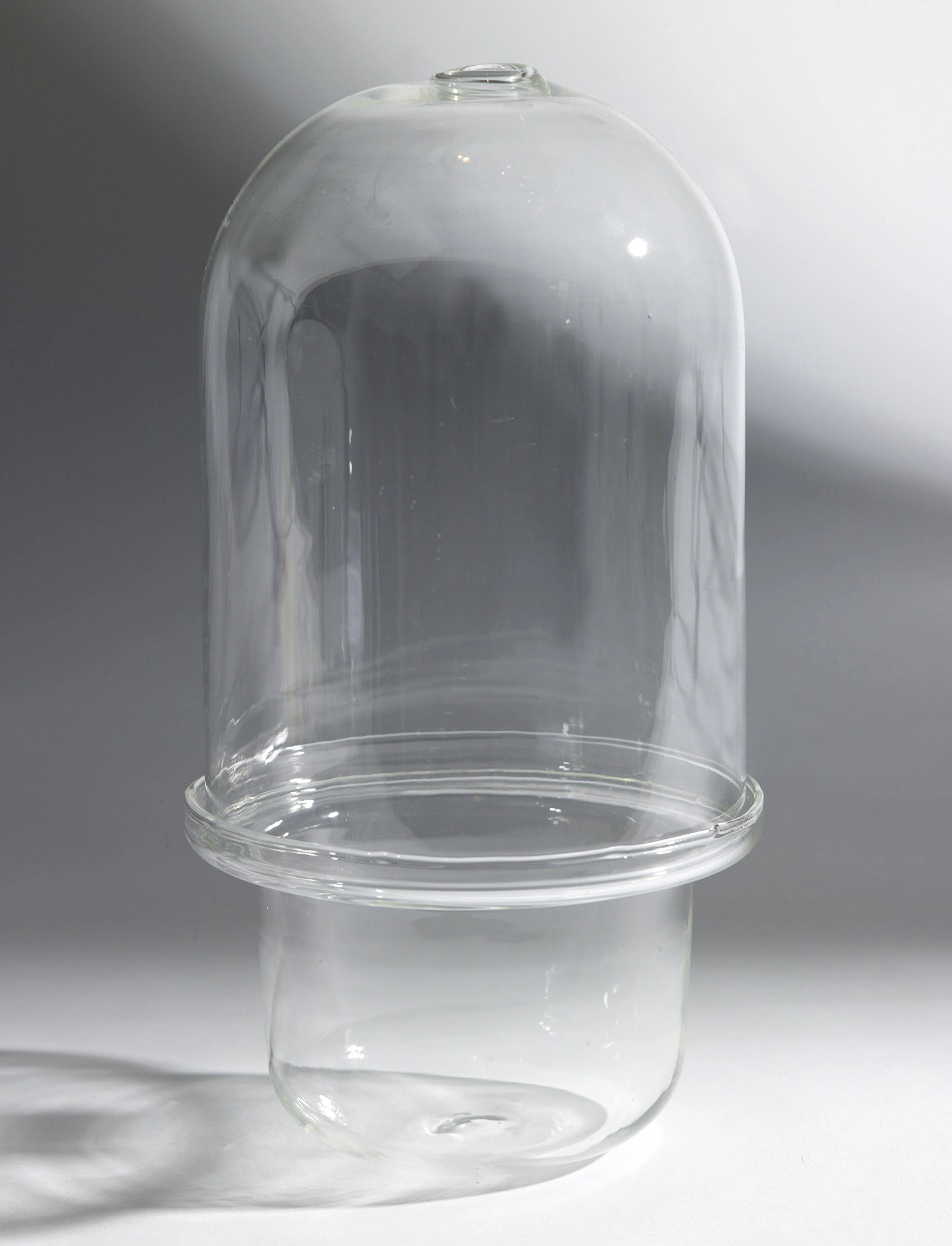 Serax - CARNIVORE VASE - clear - 2