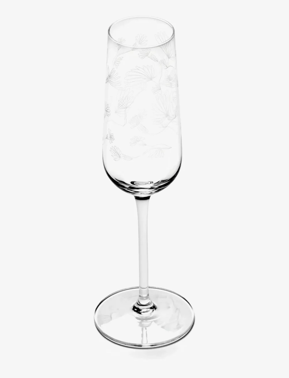 Serax - CHAMPAGNE FLUTE CAMELIA AUBERGINE MF set/4 - nach preis einkaufen - transparent - 0
