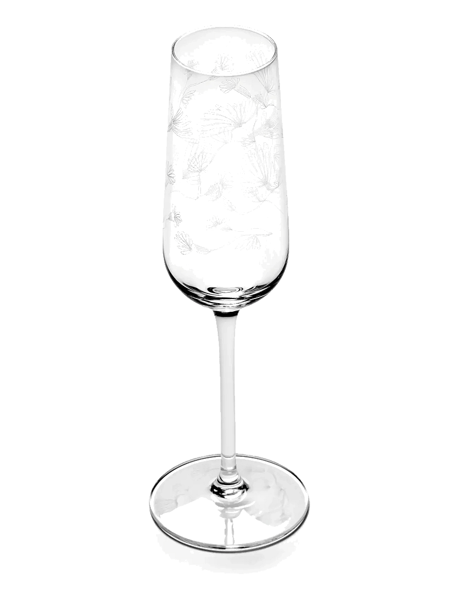 Serax - CHAMPAGNE FLUTE CAMELIA AUBERGINE MF set/4 - Šampanjaklaasid - transparent - 0