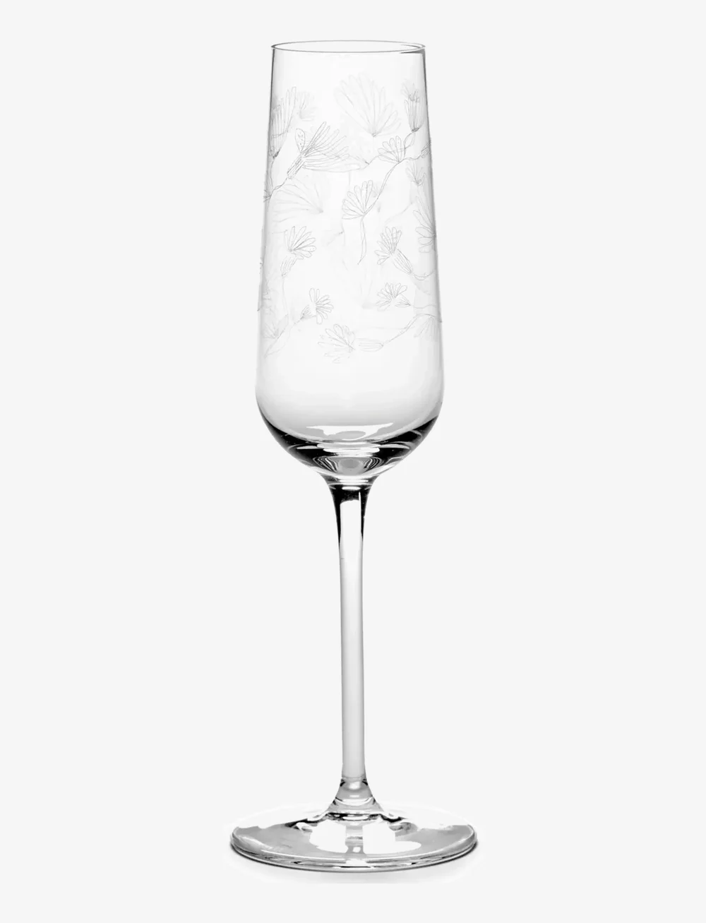 Serax - CHAMPAGNE FLUTE CAMELIA AUBERGINE MF set/4 - nach preis einkaufen - transparent - 1