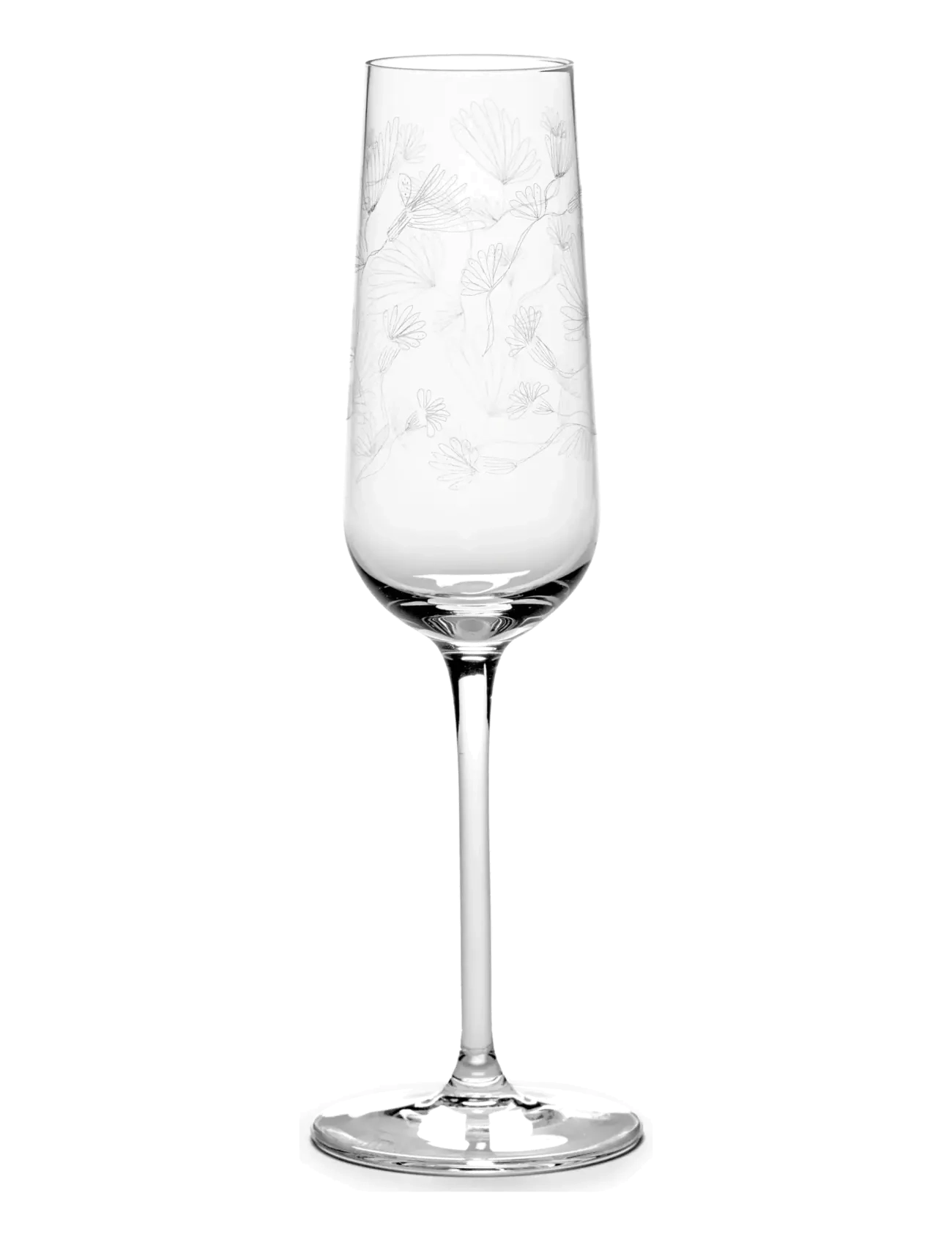 Serax - CHAMPAGNE FLUTE CAMELIA AUBERGINE MF set/4 - coupes à champagne - transparent - 1