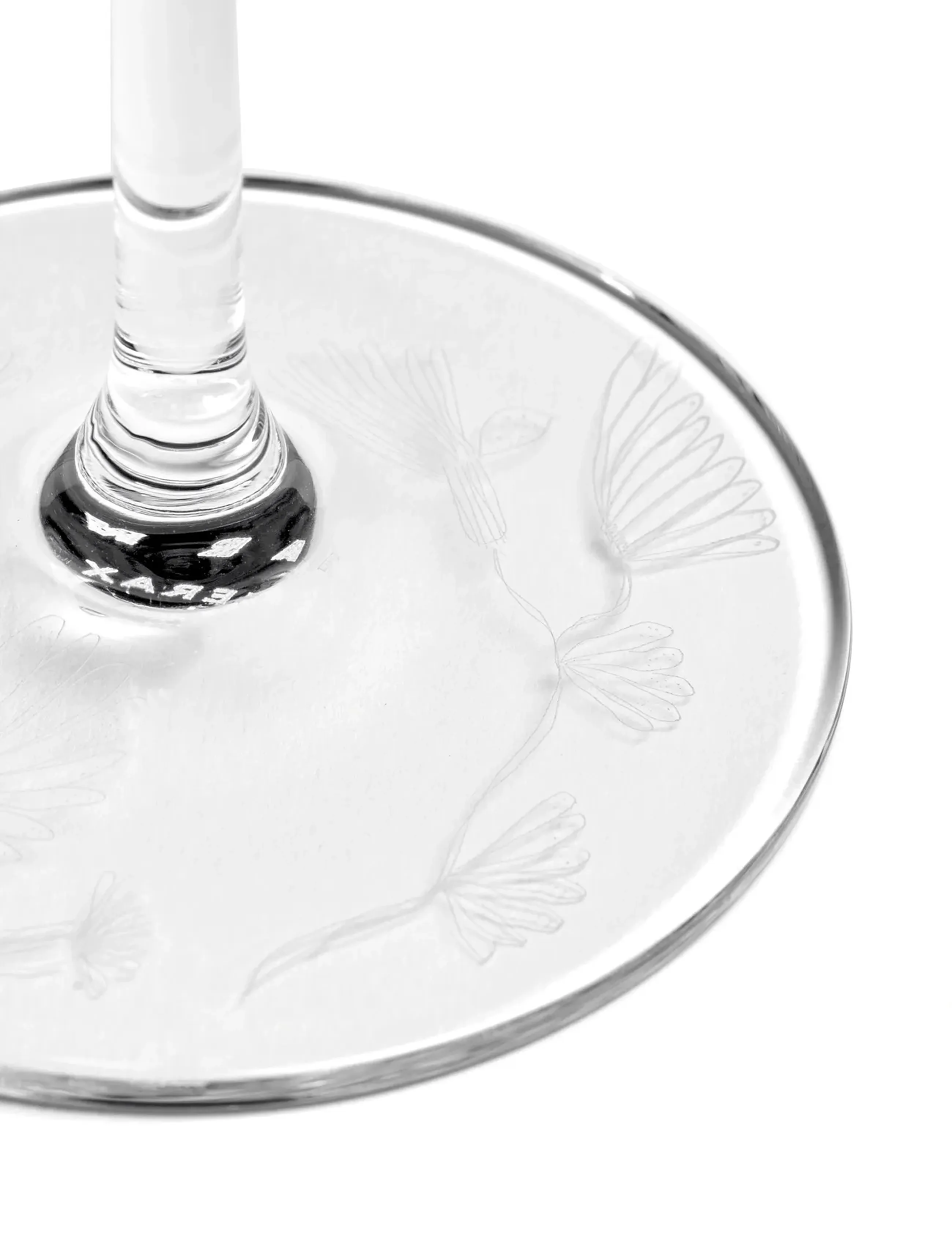 Serax - CHAMPAGNE FLUTE CAMELIA AUBERGINE MF set/4 - coupes à champagne - transparent - 2