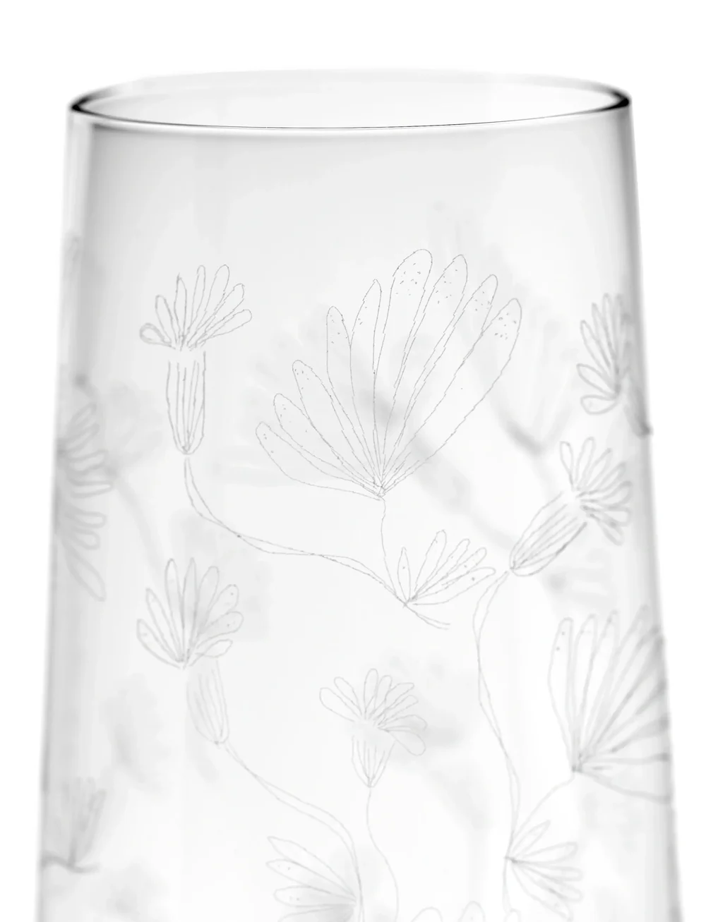 Serax - CHAMPAGNE FLUTE CAMELIA AUBERGINE MF set/4 - nach preis einkaufen - transparent - 5