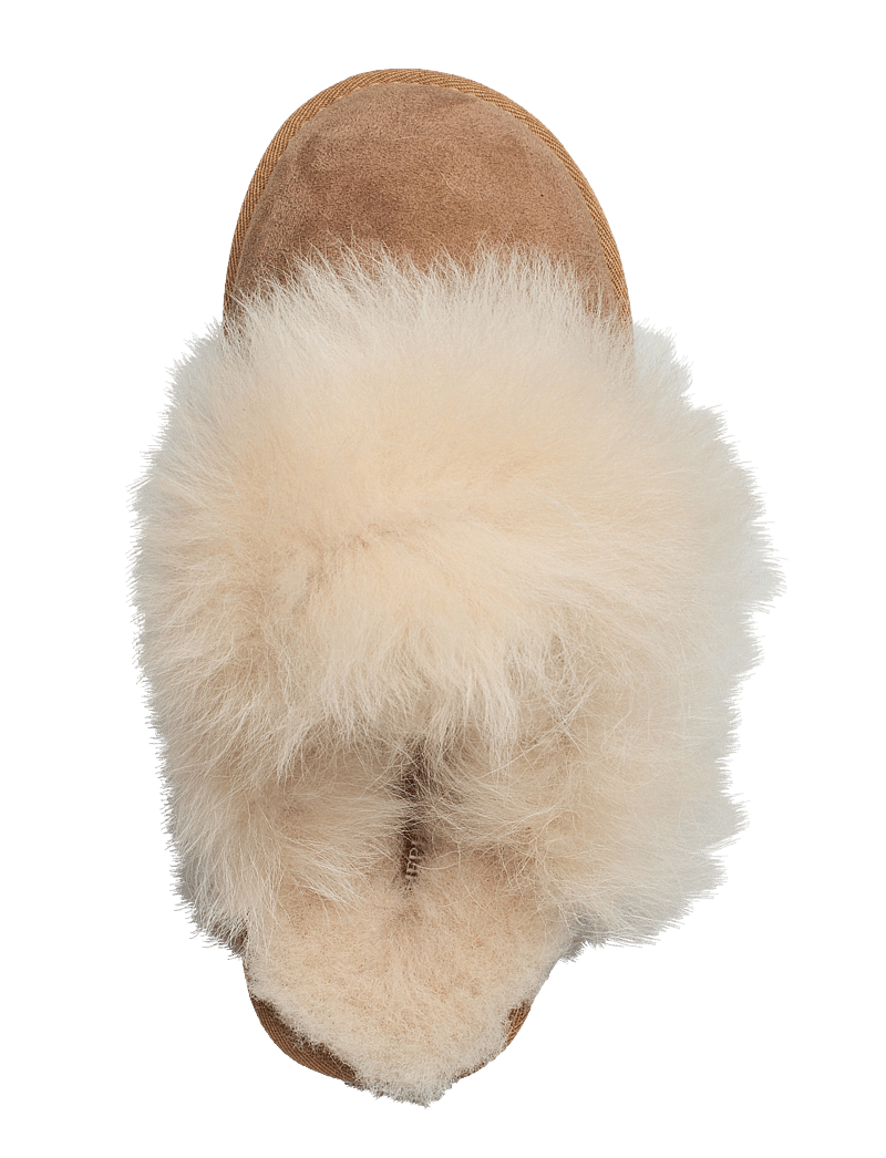 Shepherd - Eve outdoor - vardagsstil - chestnut - 3