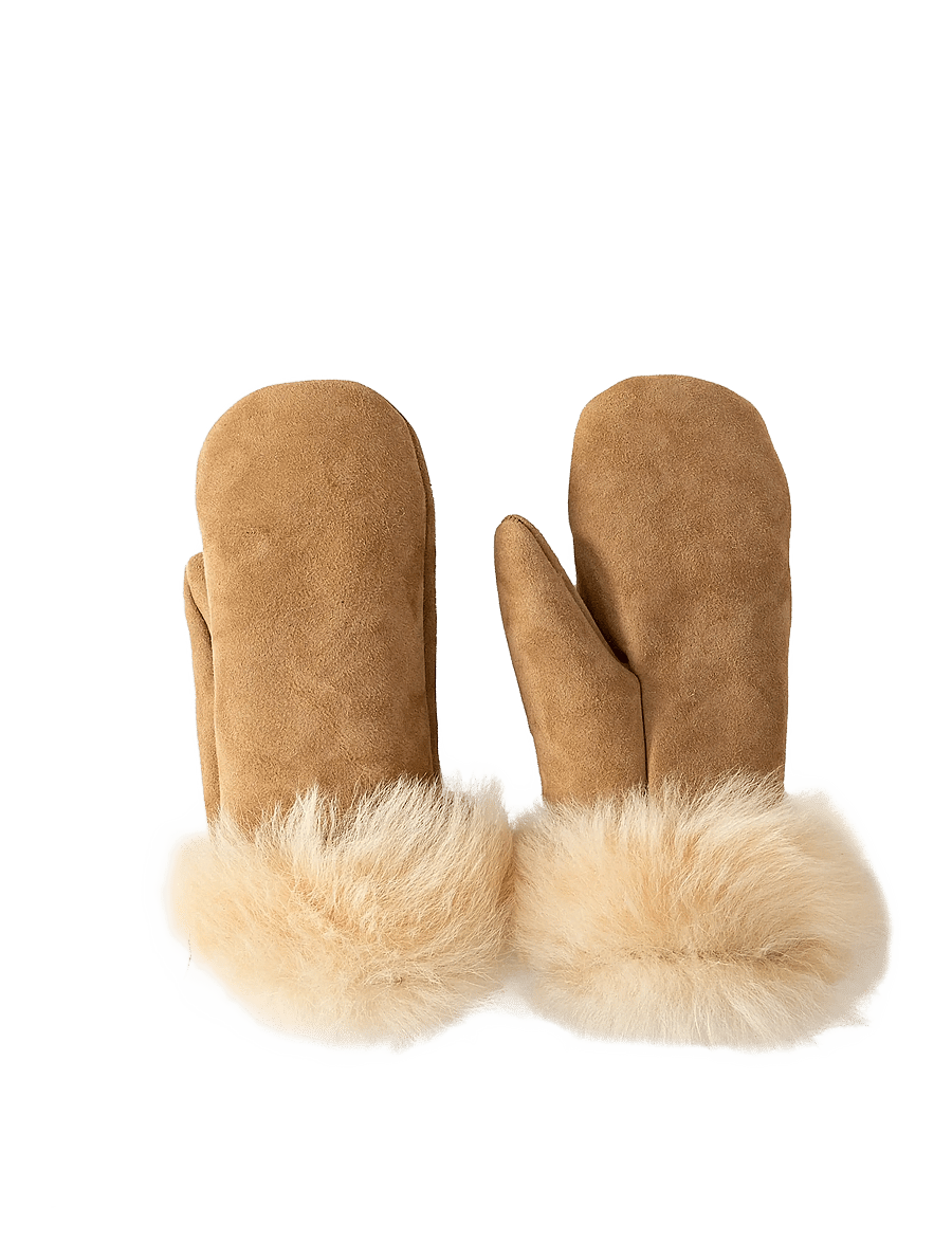 Shepherd - Cortina tumvantar - labakindad - chestnut - 2