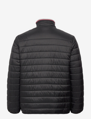 Shine Original - Light weight quilted jacket - talvejoped - black - 1