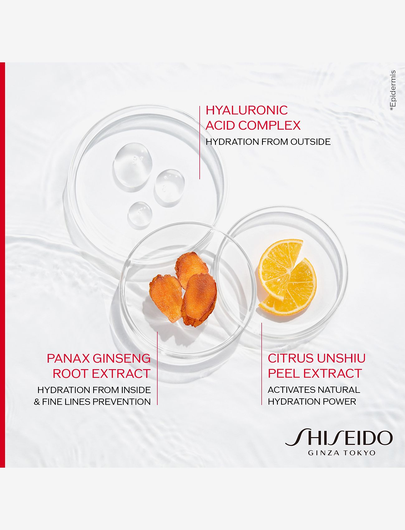 Shiseido - Essential Energy Hydrating Day Cream - sommerens hudpleje - no color - 4