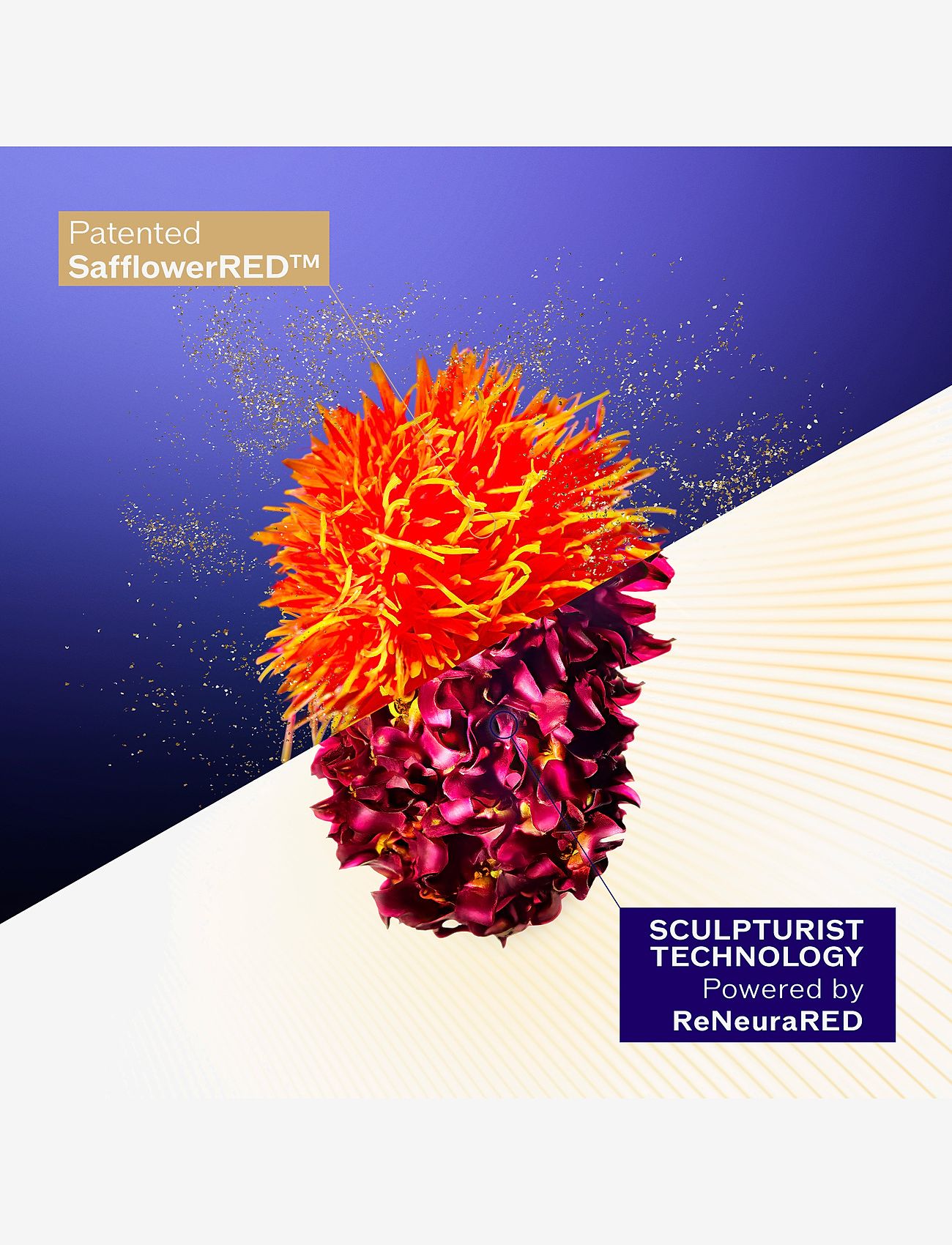 Shiseido - Vital Perfection Concentrated Supreme Cream Refill - sommerens hudpleje - clear - 4