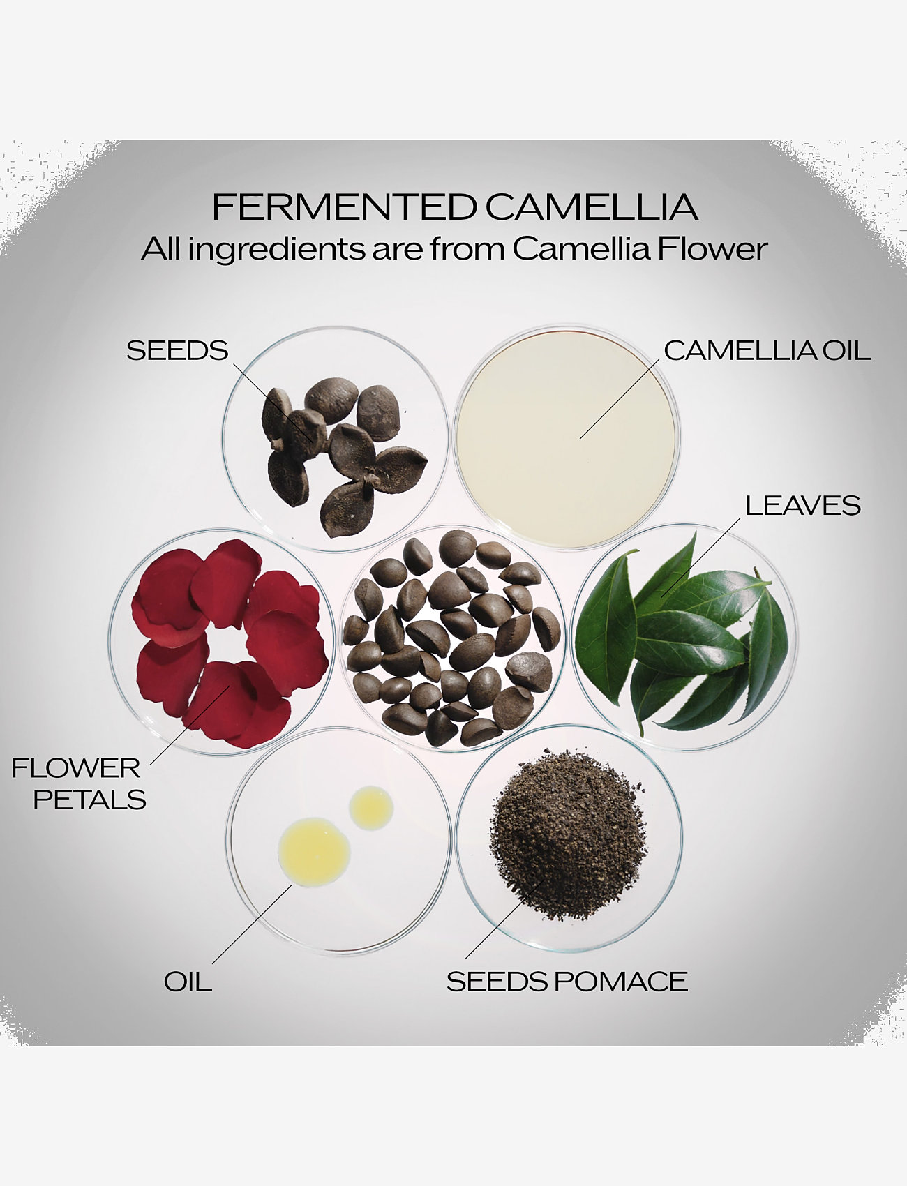 Shiseido - Ultimune Power Infusing Concentrate 4.0 - serums & oils - clear - 2