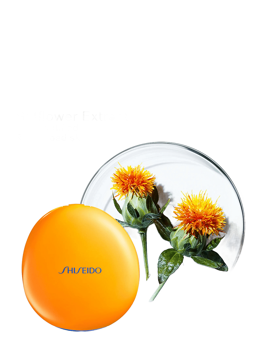 Shiseido - Global Sun Care UV Tanning Compact Foundation - bronze - 2