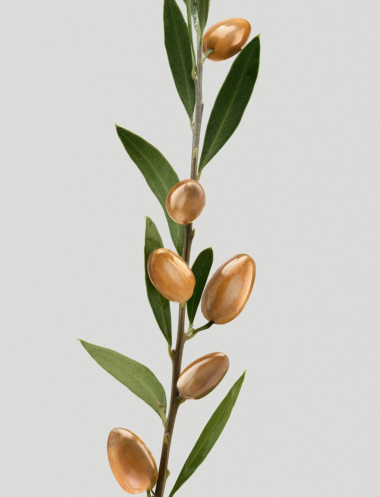 Shu Uemura Art of Hair Shu Uemura Art Of Hair Silk Bloom Conditioner