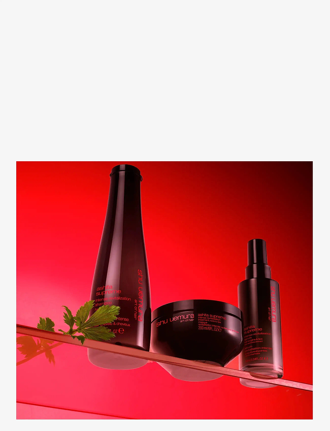 Shu Uemura Art of Hair - shu uemura art of hair ashita supreme intense revitalization treatment 200ml - hårinpackning - clear - 4