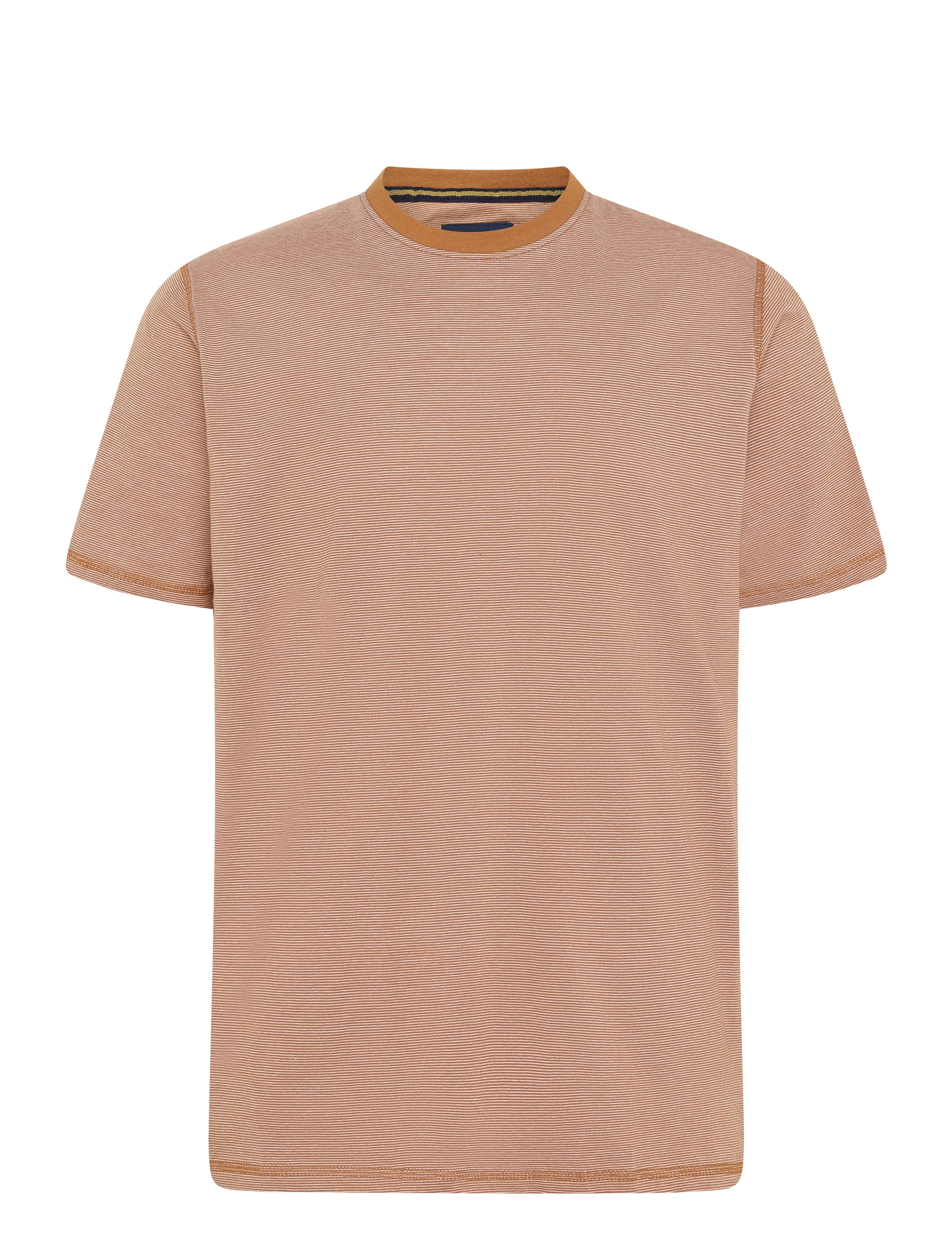 Signal YANNSI MINI STRIPE - T-särgid - SIENNA ORANGE / orange
