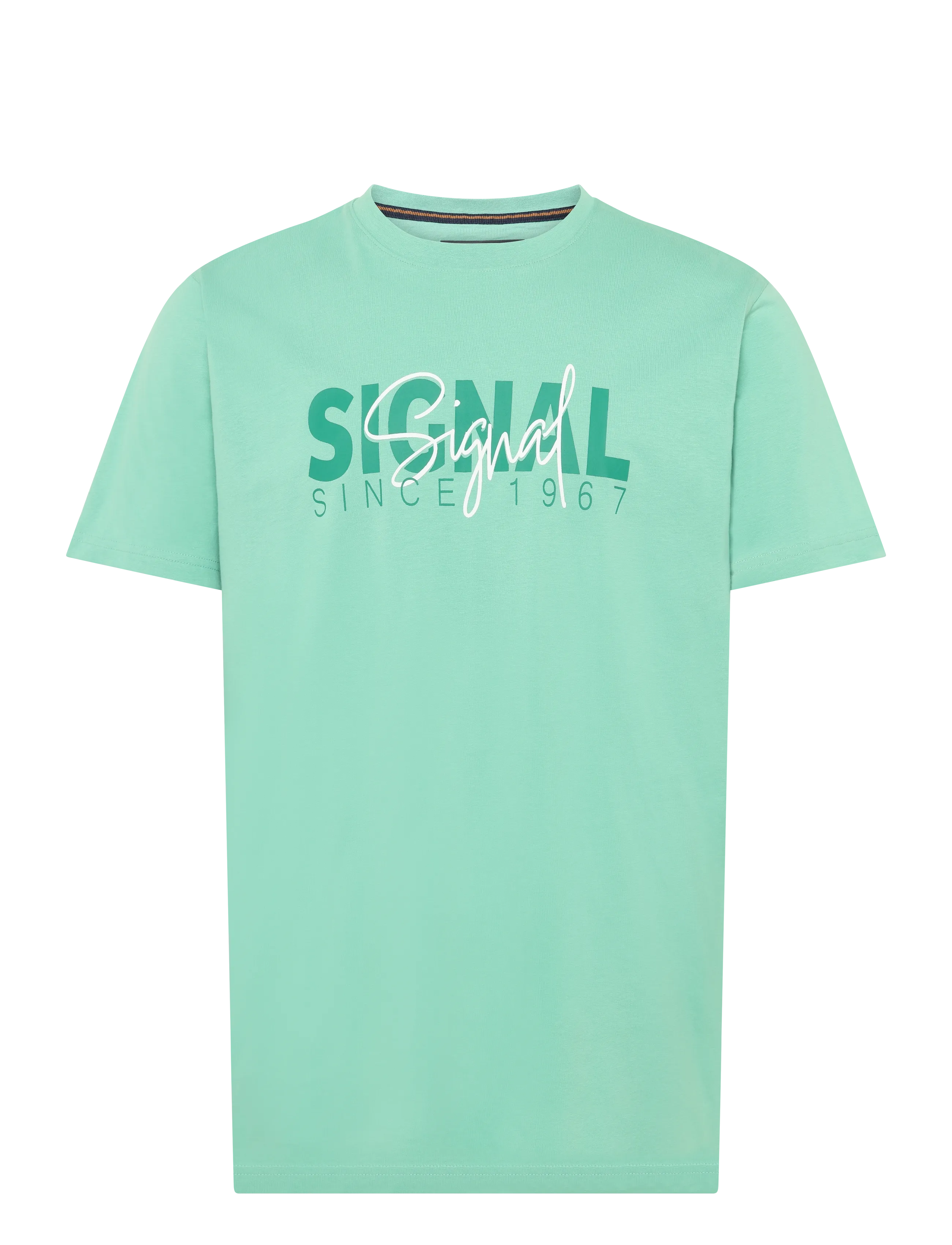 Signal OWENSI PRINT TEE - T-shirts - DUSTY JADE / green