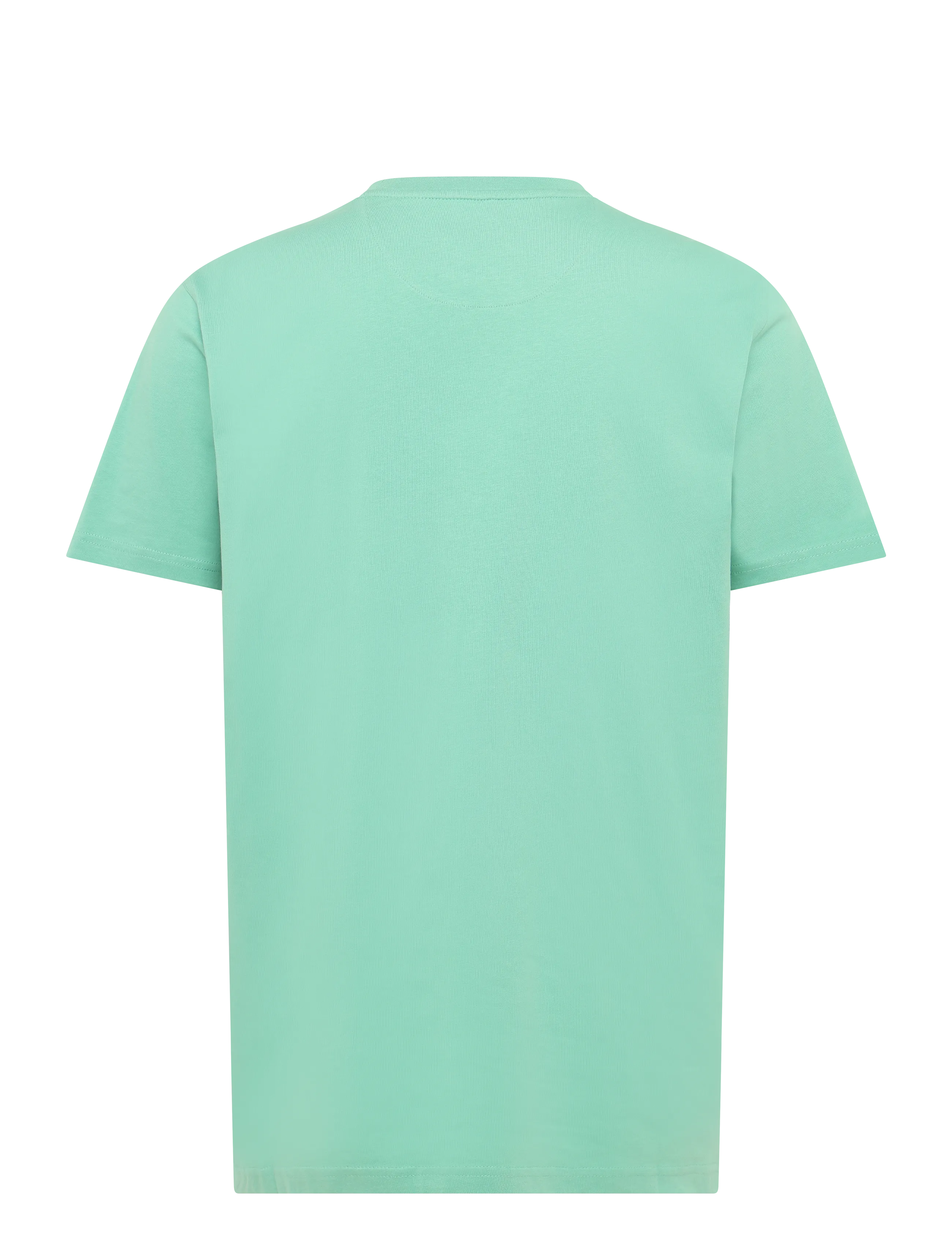 Signal - OWENSI PRINT TEE - die niedrigsten preise - dusty jade - 2