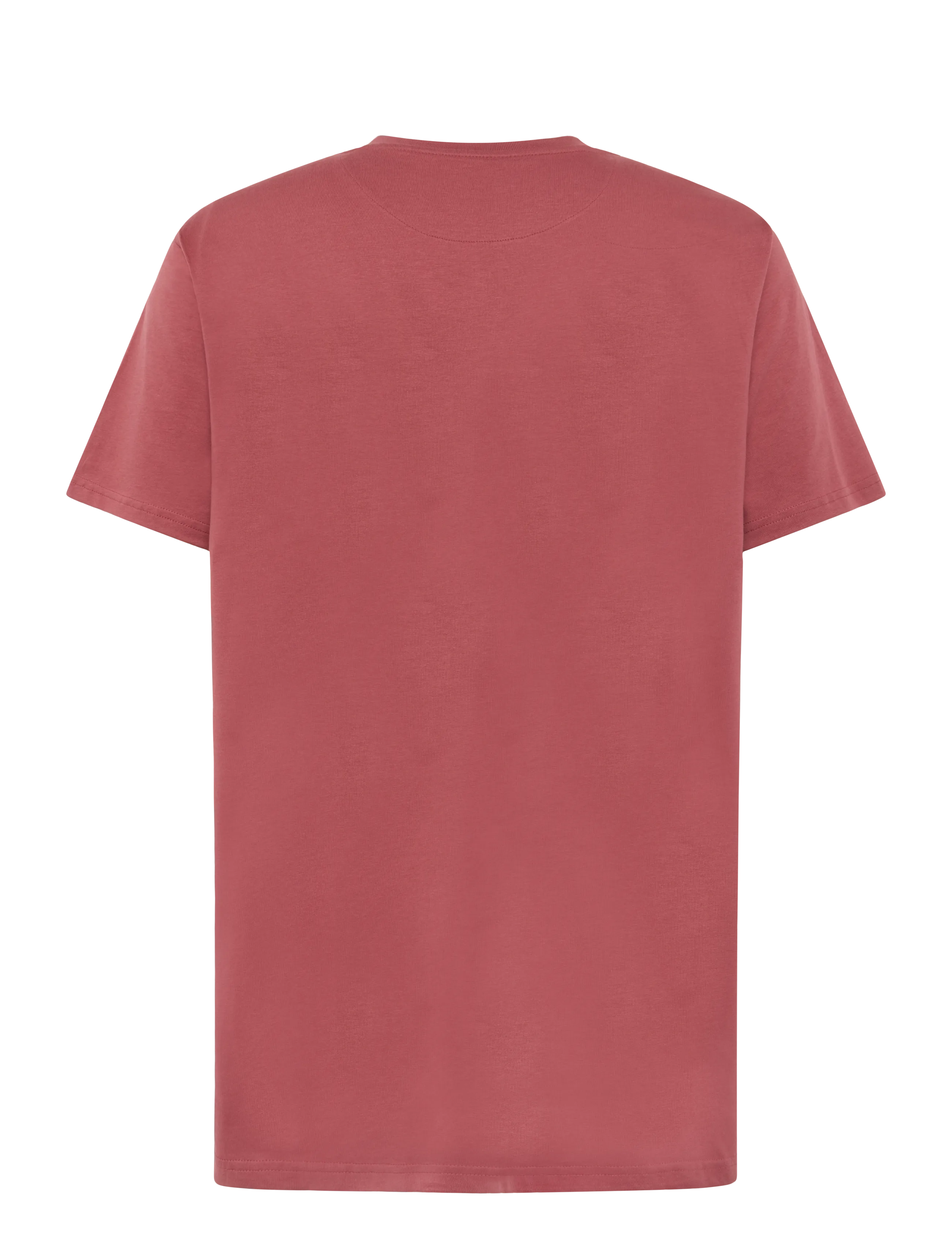 Signal - OWENSI PRINT TEE - die niedrigsten preise - red earth - 2